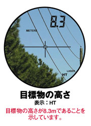 測定例